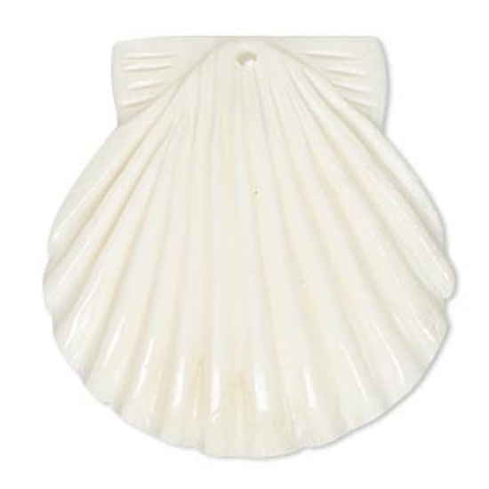 Picture of Bone (bleached) Pendant Shell 38x37mm White x1