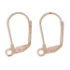 Picture of Earwire Leverback 18x11mm Rose Gold x10