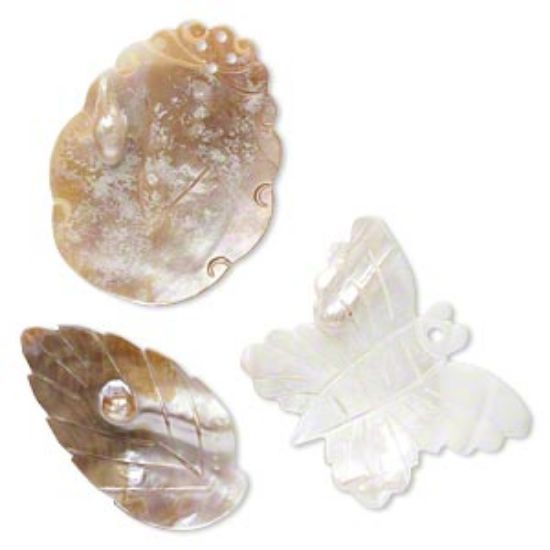 Picture of Mother-of-Pearl Shell and Blister Pearl Shell Mix x3