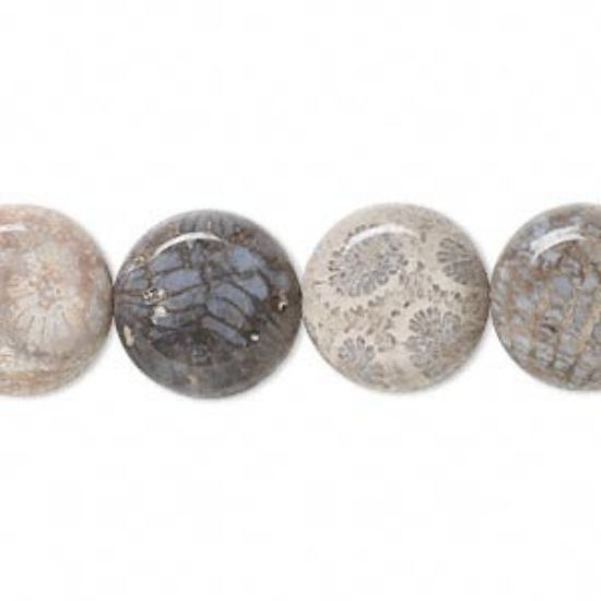 Picture of fossil coral (natural) 14mm flat round x40cm