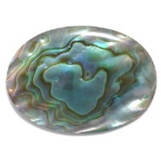 Picture of Cabochon Ababalone (natural) Shell Oval 25x18mm x1