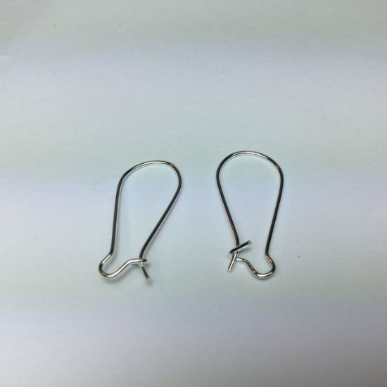 Picture of Earwire Kidney 24mm Silver Tone x50
