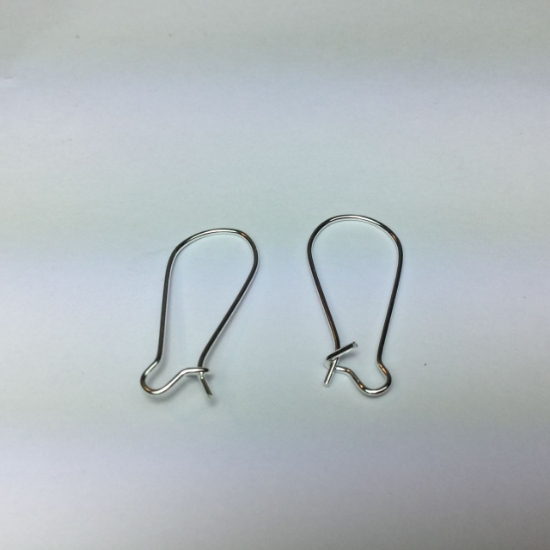 Picture of Earwire Kidney 24mm Silver x50