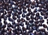 Picture of Pinch Bead 5mm Jet Iris x50