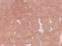 Picture of Round beads 4mm round Rosaline Mat x100