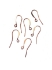 Picture of Hook Ear Wire 26mm Rose Gold x24