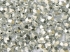 Picture of Fire-Polished 3mm Crystal Labrador Full x100