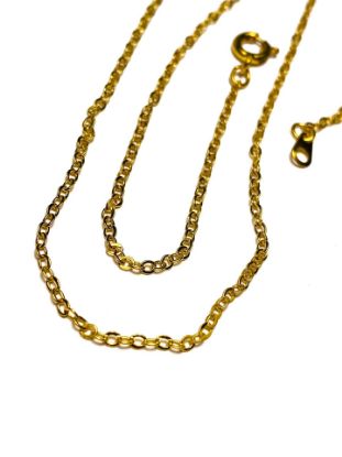 Image de Necklace 40cm Jasseron Chain 2mm Gold Tone x1