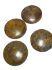 Picture of Chrysanthemum stone (natural) 40mm puffed flat round with flat back x1