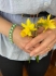 Picture of Beading Kit - Izebel Bracelet