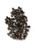 Picture of Swarovski 5328 Xilion Bead 4 mm Crystal Metallic Light Gold 2x x100
