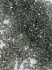 Picture of Swarovski 5328 Xilion Bead 3mm Black Diamond x100