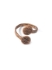Picture of Ring finding JBB two pads Antique Copper x1