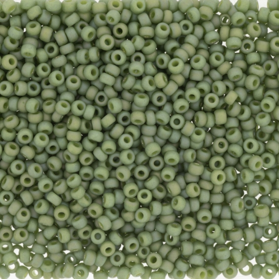 Picture of Miyuki Rocaille 6/0 4698 Opaque Glazed Rainbow Kiwi x10g