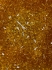Picture of Swarovski 5328 Xilion Bead 4mm Sunflower x100