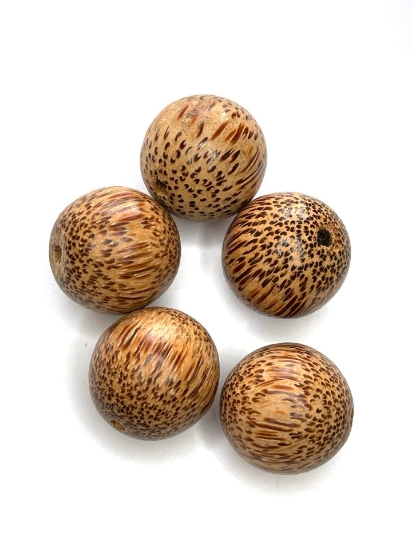 Picture of Bead Palmwood Brown 25mm x5