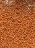 Picture of Miyuki Delica 11/0 DB2107 Duracoat Opaque Cedar x10g