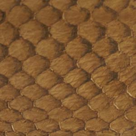 Picture of Fish Leather Glossy Hazelnut x1