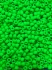 Picture of Matubo 7/0 Neon Green Mat x5g