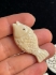 Picture of Bone Bead Fish 40x18mm Antiqued White x1
