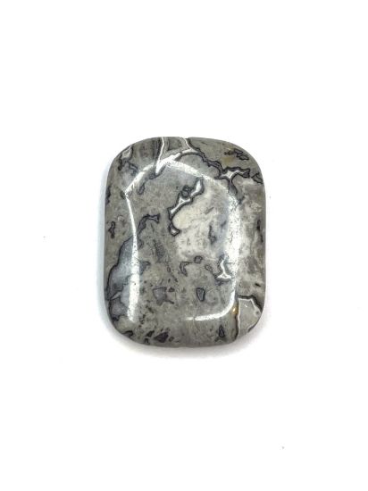 Picture of Jasper Rectangle 30x40mm Gris x1