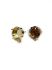 Picture of Premium Ear Stud 4470 12mm square w/ loop 24Kt Gold Plate x2 