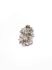 Picture of Neumann 10x17mm 2-strand 2 Flowers Rhodium Plated x1