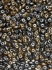Picture of SuperDuo 2,5x5mm Crystal Grey Rainbow x10g