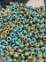 Picture of Czech 4/0 Opaque Blue Turquoise Etched Amber x10g