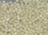 Picture of Fire-Polished 3mm Pastel Light Cream x100
