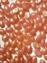 Picture of Samos® par Puca® 7x5mm Light Rose Opal Splash x10g