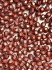 Picture of Fire-Polished 2mm Saturated Metallic Grenadine x50