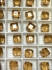 Picture of Swarovski 5601 Cube 8mm Light Colorado Topaz x1