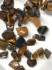 Изображение Tiger Eye bead gigantic Hawaiian chip x10