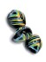 Picture of Lumbang Seed 20-25mm with painted strips Black Colour Mix x1