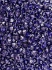 Picture of Konos® Par Puca® 2x4mm Ice Slushy Purple Grape x10g