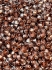 Picture of Konos® Par Puca® 2x4mm Ice Slushy Cola x10g