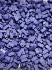 Picture of Miyuki Half Tila 2075 Mat Opaque Cobalt x5g