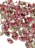 Picture of Swarovski 4228 Navette 10x5mm Light Rose x1