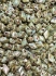 Picture of Mini GemDuo 2-hole 4x6mm Chalk Lazure Blue  x10g