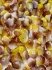 Picture of Flower Cup Beads 7x5mm Funky Green x50