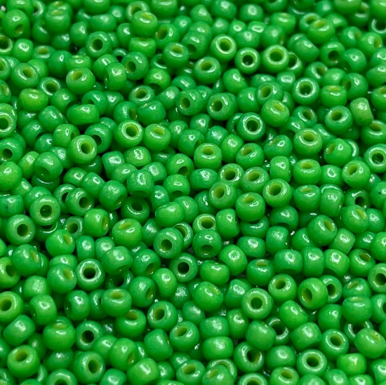 Picture of Miyuki Rocaille 11/0 4476 Duracoat Opaque Dyed Grass x10g