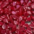 Picture of Amos® par Puca® 5x8mm Opaque Coral Red Luster x10g