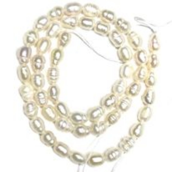 Picture of Pearl Cultured Freshwater Rice 6x4mm x35cm