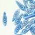 Picture of Glass Daggers 5x16mm Indigo Mat Laser Target Eye x25