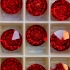 Picture of Swarovski 1681 Vision Round Stone 12mm Light Siam x1