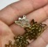 Afbeeldingen van Stainless Steel Pendant Hollow Lotus Flower 14x18.5x1mm 18kt Gold Plated x2