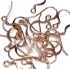 Picture of Hook Ear Wire 18mm Rose Gold Tone x24