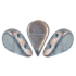 Picture of Amos® par Puca® 5x8mm Halo Sky Blue x10g
