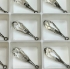 Picture of Swarovski 6532 Pure Drop Pendant 21mm Silver Shade GMET x1